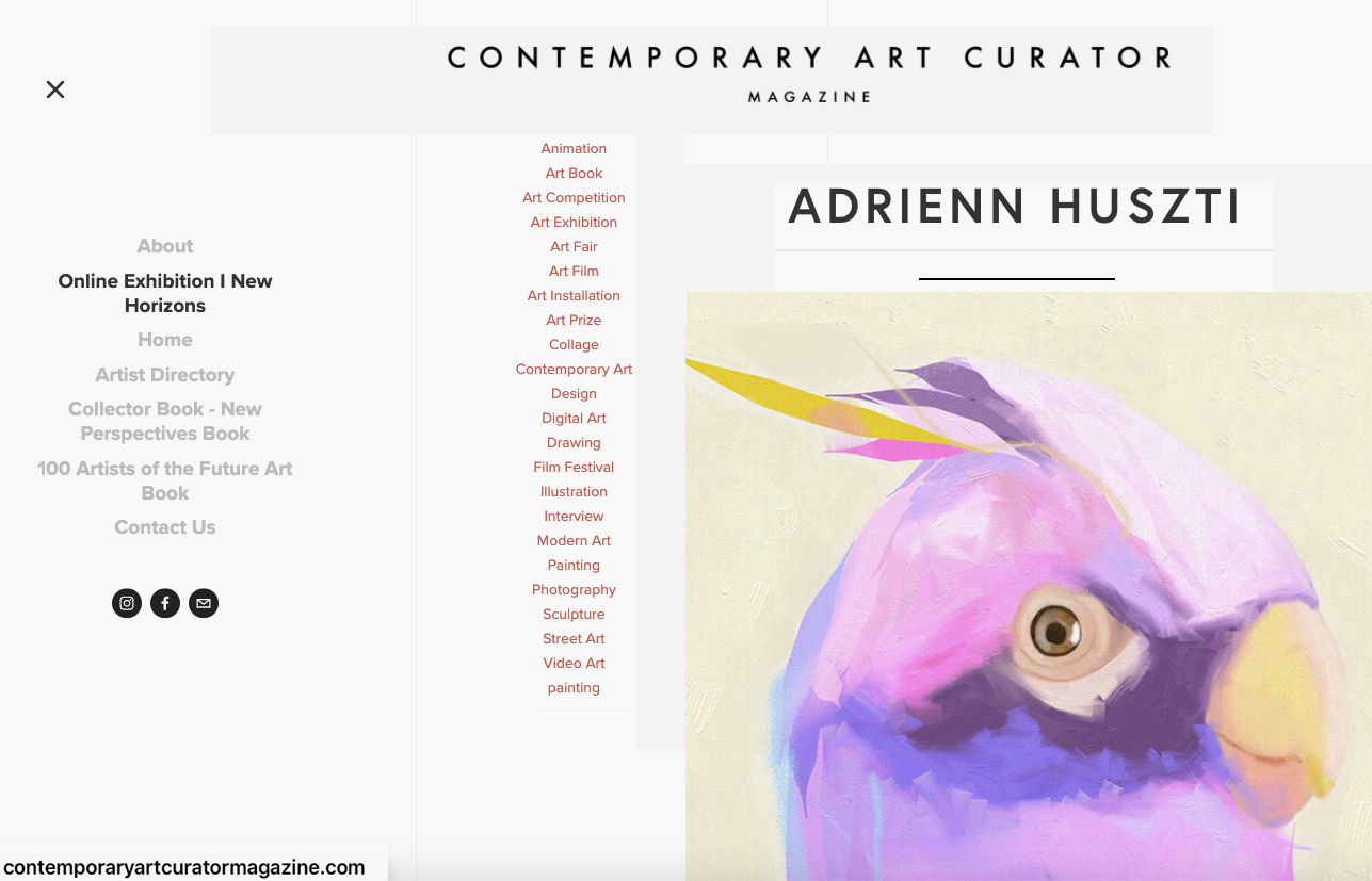 Contemporary Art Curator Magazine